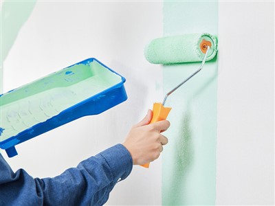 그린 코팅 제품 테스트